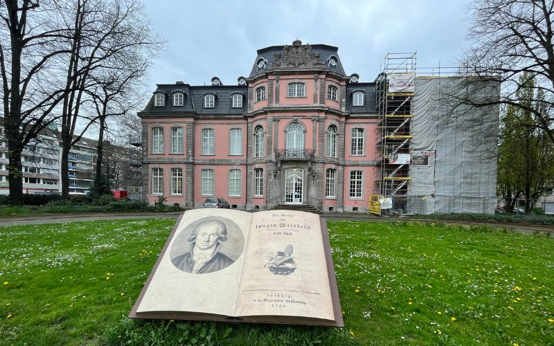 Schloss Jägerhof inklusive Goethe-Museum und eine Wiese davor