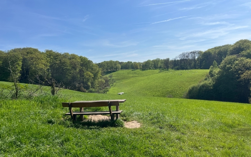 Eine Bank auf einer hügeligen Wiese in Hubbelrath